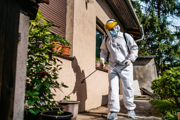 Best Pest Prevention Services  in Sleepy Hollow Lake, NY